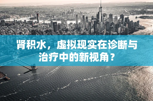 肾积水，虚拟现实在诊断与治疗中的新视角？