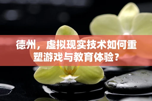 德州，虚拟现实技术如何重塑游戏与教育体验？