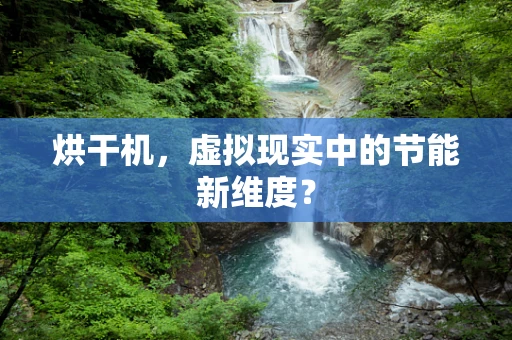 烘干机，虚拟现实中的节能新维度？
