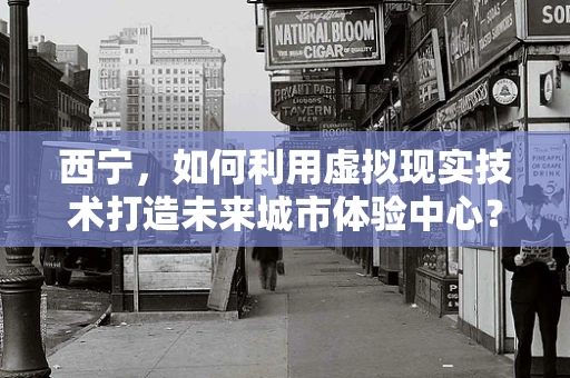 西宁，如何利用虚拟现实技术打造未来城市体验中心？