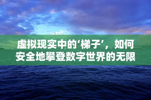 虚拟现实中的‘梯子’，如何安全地攀登数字世界的无限可能？