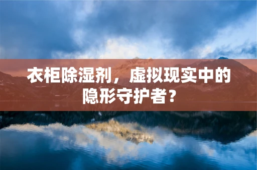 衣柜除湿剂，虚拟现实中的隐形守护者？