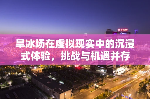 旱冰场在虚拟现实中的沉浸式体验，挑战与机遇并存