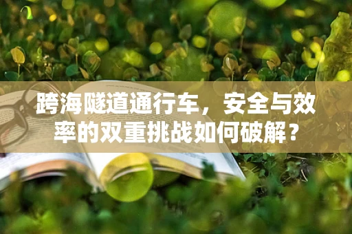 跨海隧道通行车，安全与效率的双重挑战如何破解？
