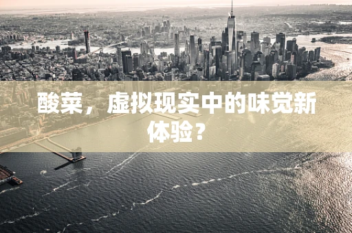 酸菜，虚拟现实中的味觉新体验？