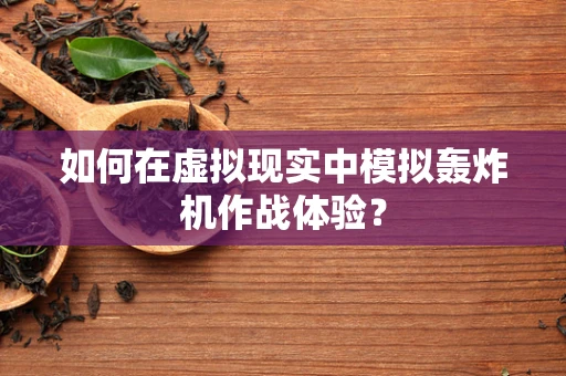 如何在虚拟现实中模拟轰炸机作战体验？