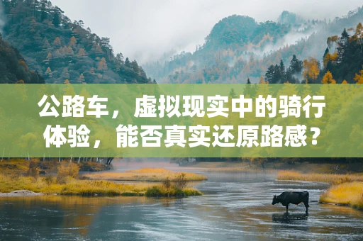 公路车，虚拟现实中的骑行体验，能否真实还原路感？