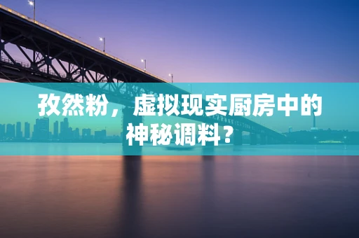 孜然粉，虚拟现实厨房中的神秘调料？