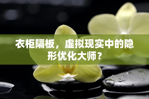 衣柜隔板，虚拟现实中的隐形优化大师？