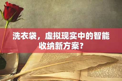 洗衣袋，虚拟现实中的智能收纳新方案？