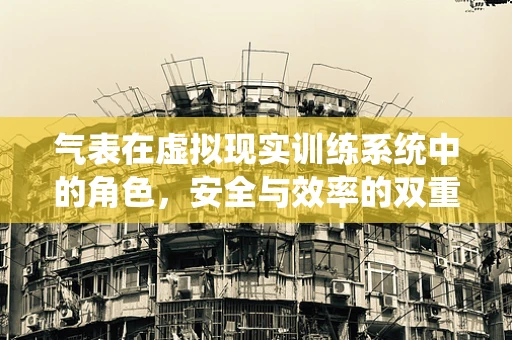 气表在虚拟现实训练系统中的角色，安全与效率的双重保障？