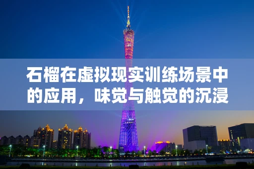 石榴在虚拟现实训练场景中的应用，味觉与触觉的沉浸式体验新维度？
