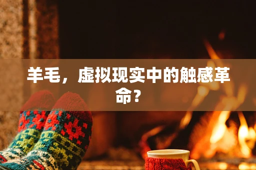 羊毛，虚拟现实中的触感革命？