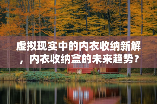 虚拟现实中的内衣收纳新解，内衣收纳盒的未来趋势？
