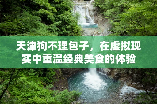 天津狗不理包子，在虚拟现实中重温经典美食的体验