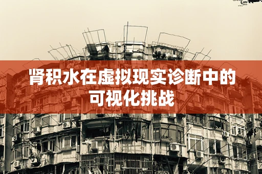 肾积水在虚拟现实诊断中的可视化挑战