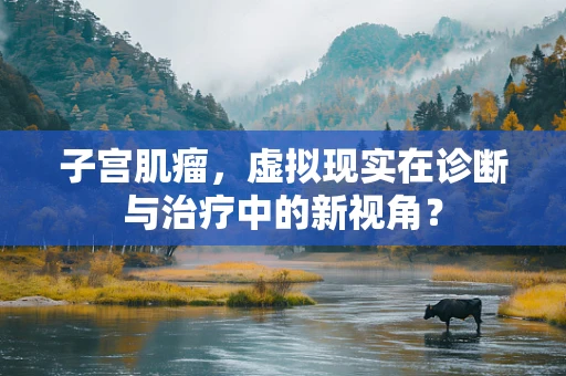 子宫肌瘤，虚拟现实在诊断与治疗中的新视角？