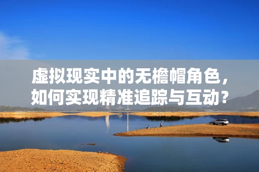 虚拟现实中的无檐帽角色，如何实现精准追踪与互动？