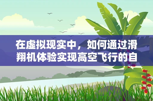 在虚拟现实中，如何通过滑翔机体验实现高空飞行的自由与刺激？