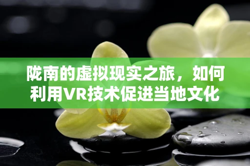 陇南的虚拟现实之旅，如何利用VR技术促进当地文化旅游的沉浸式体验？